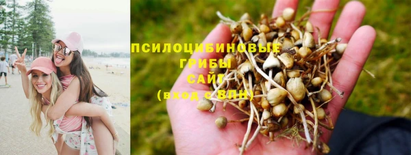 дживик Балахна