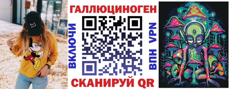 Псилоцибиновые грибы Psilocybe  закладки  Беломорск 